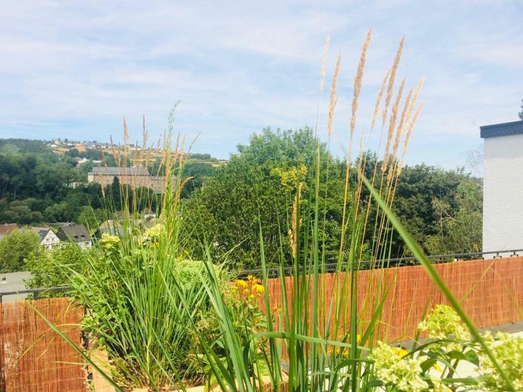 Talblick Apartment